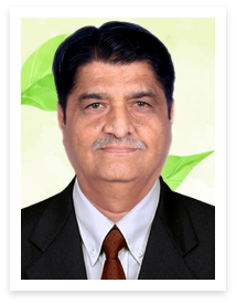 Dr. Haridra Dave